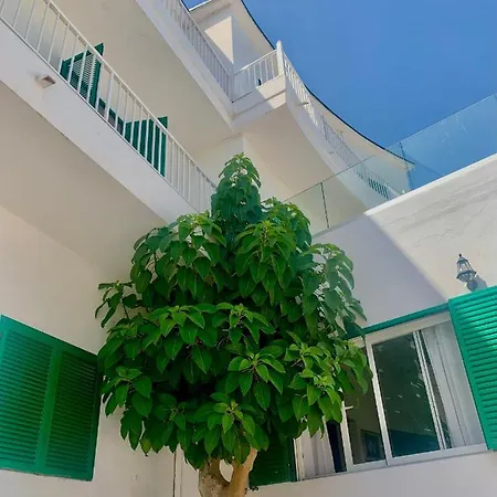 酒店 塔戈马格酒店 聖安東尼奧
